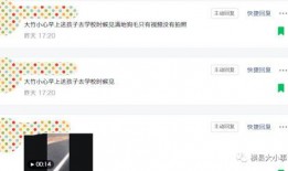 在哪里爆料视频,视频背后的真相与启示